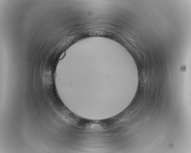 X0000093610224200711121220