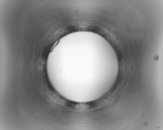 X0000093610225200711121220