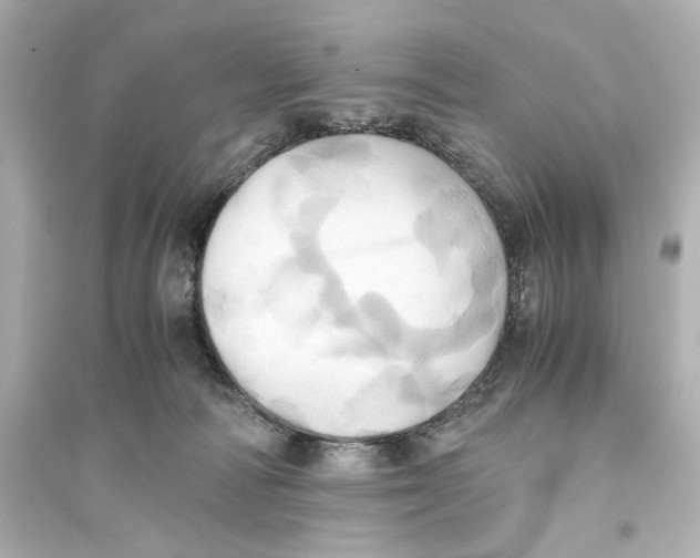 X0000093610226200711121220