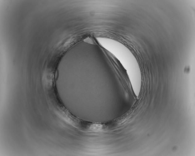 X0000093610227200711121220