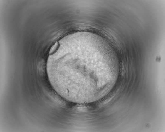 X0000093610228200711121220