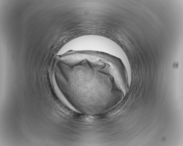 X0000093610229200711121220