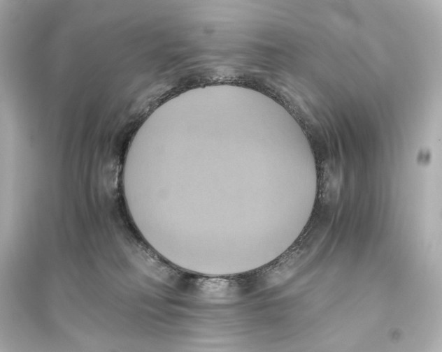 X0000093610230200711121220