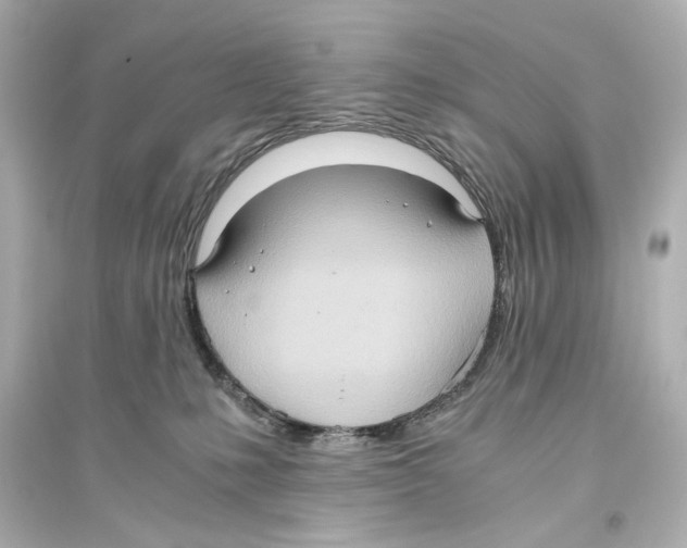 X0000093610231200711121219