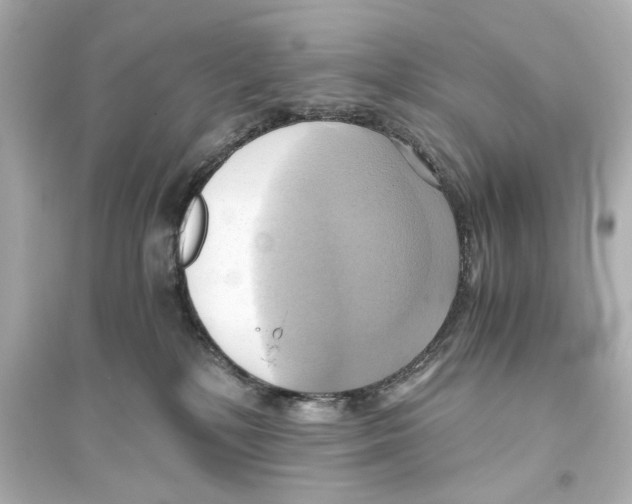 X0000093610232200711121219
