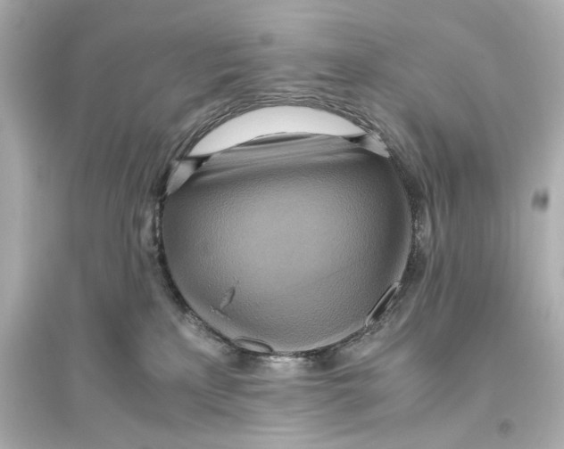 X0000093610233200711121219