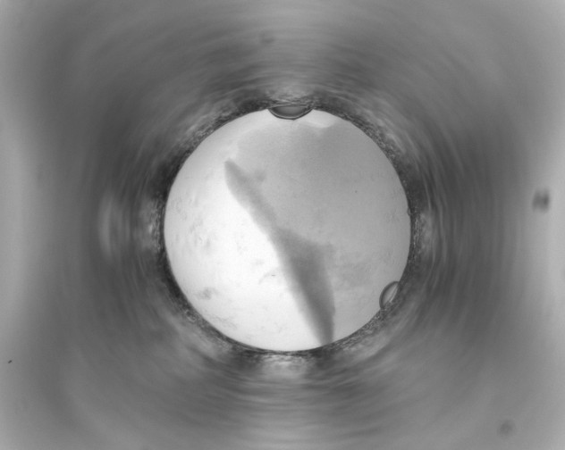 X0000093610234200711121219