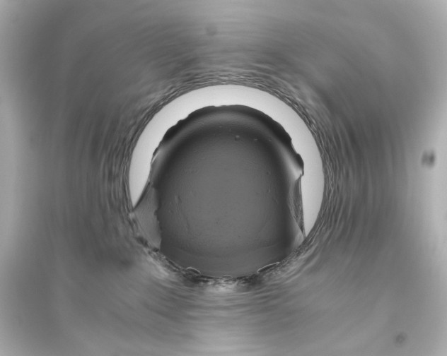 X0000093610235200711121219
