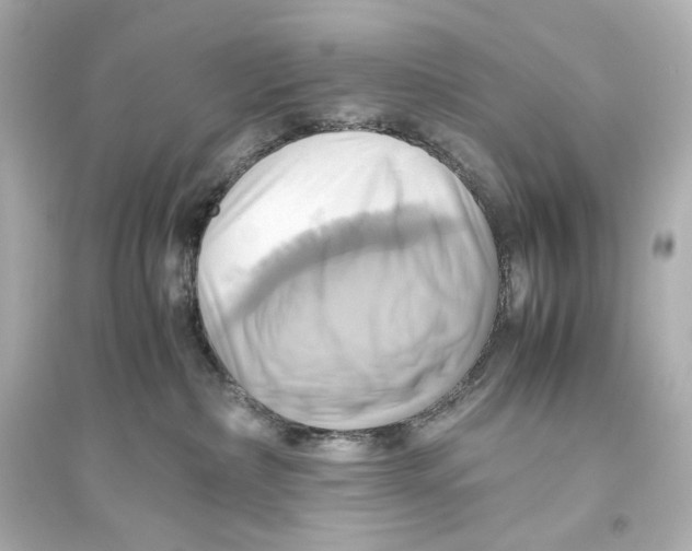 X0000093610236200711121219