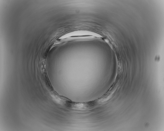 X0000093610237200711121219