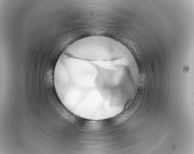 X0000093610238200711121219