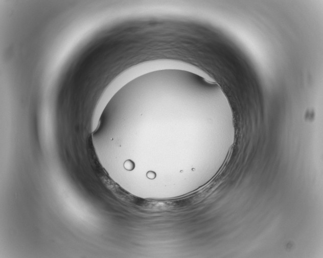 X0000093610239200711121219