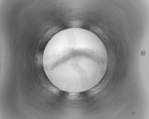 X0000093610240200711121219
