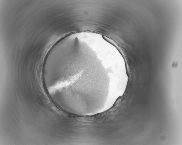 X0000093610241200711121219