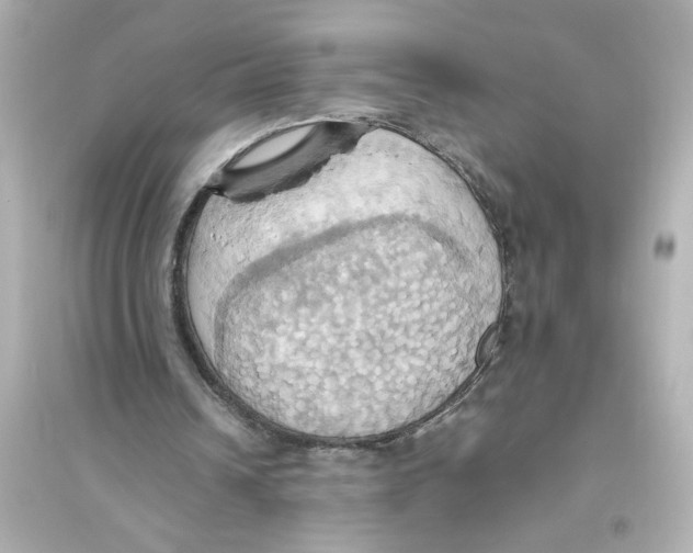 X0000093610242200711121219