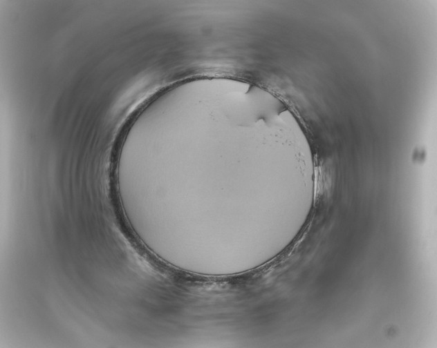 X0000093610243200711121219