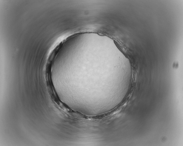 X0000093610244200711121219