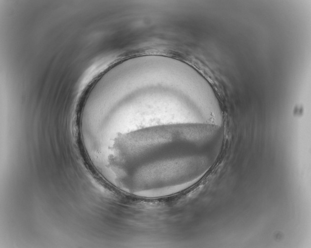 X0000093610245200711121219