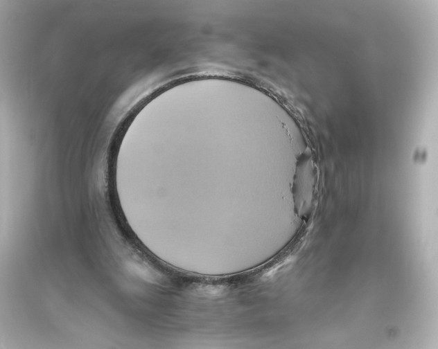 X0000093610247200711121219