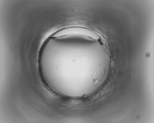 X0000093610248200711121219