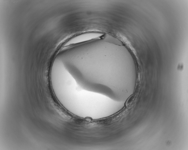 X0000093610249200711121219