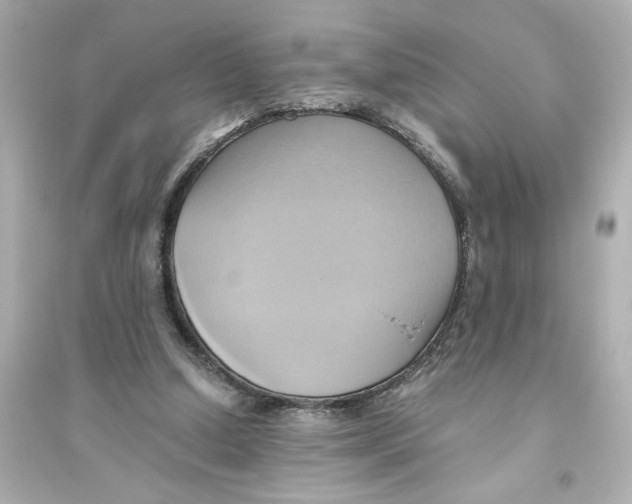 X0000093610250200711121219