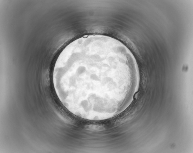 X0000093610251200711121219