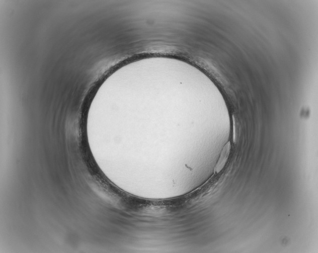 X0000093610252200711121219