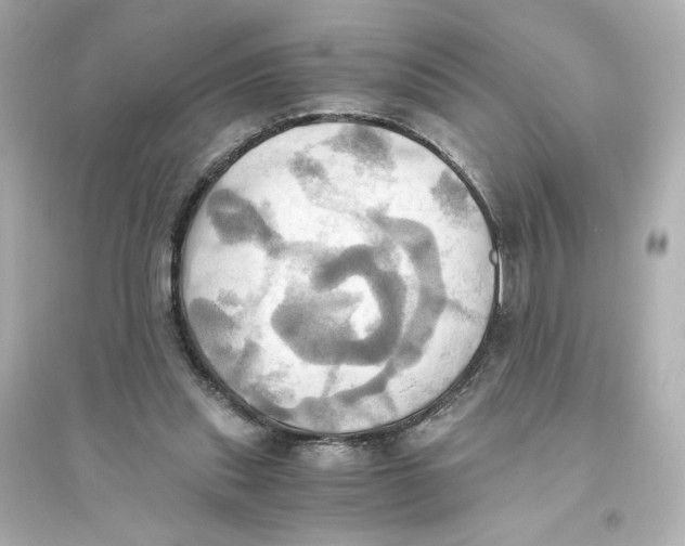 X0000093610253200711121219