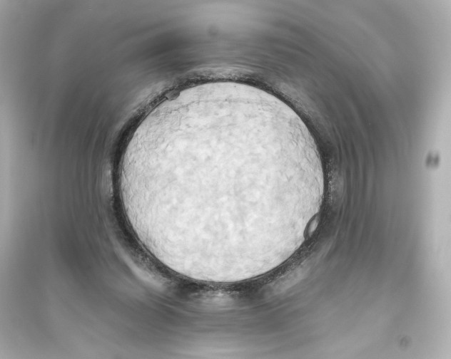 X0000093610254200711121219