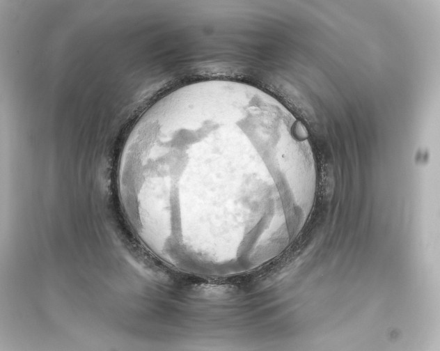 X0000093610255200711121219