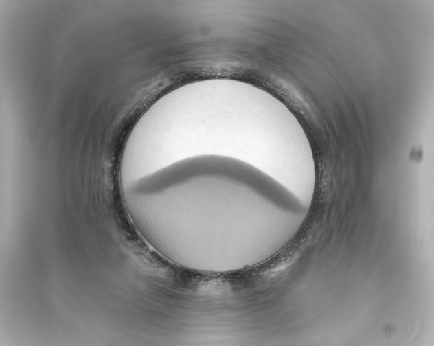 X0000093610258200711121219