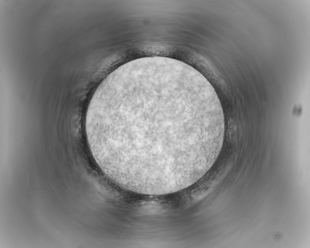 X0000093610259200711121219