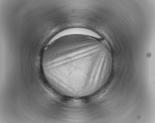 X0000093610260200711121219