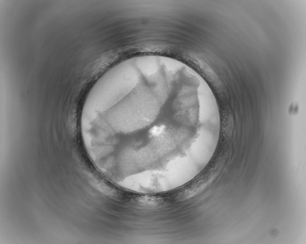X0000093610261200711121219