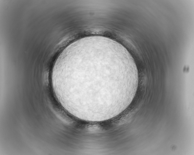 X0000093610262200711121219