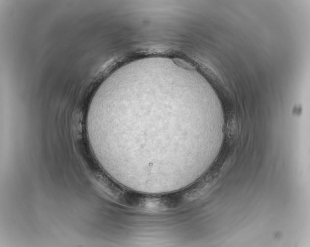 X0000093610264200711121219