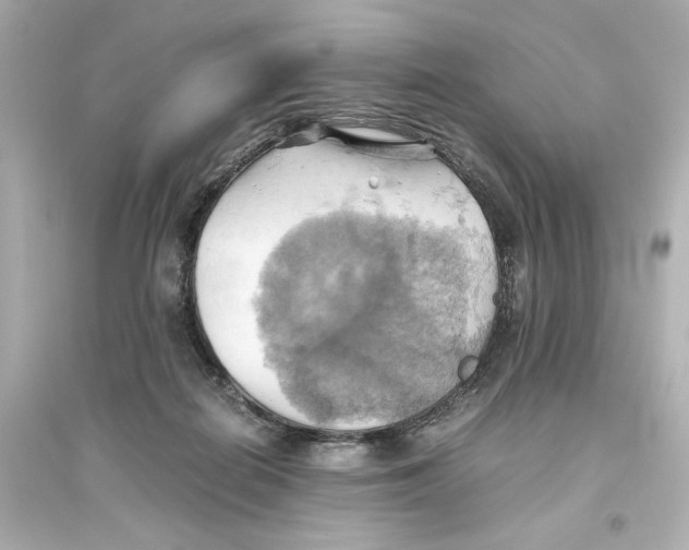 X0000093610266200711121219