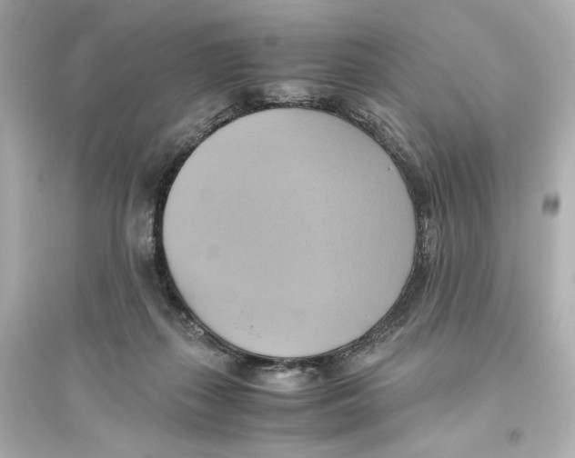 X0000093610267200711121219