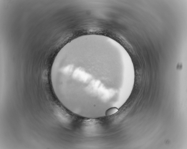 X0000093610269200711121219