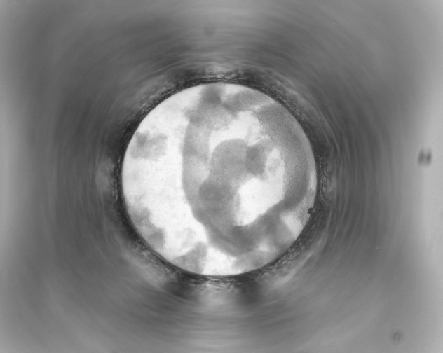 X0000093610270200711121219