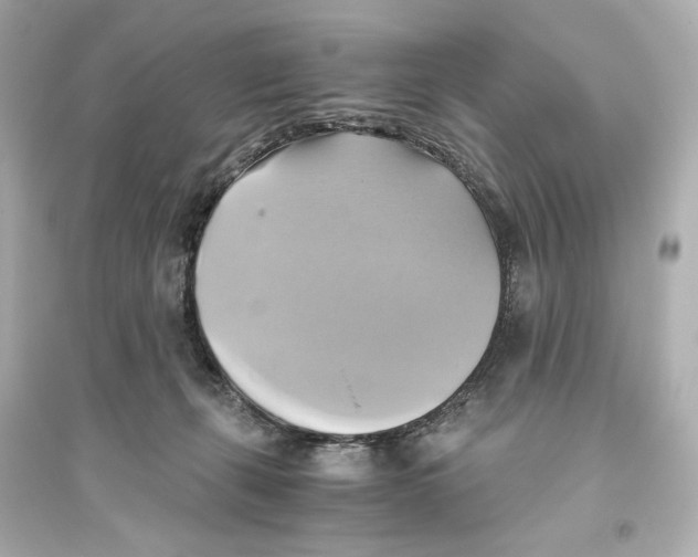 X0000093610271200711121219