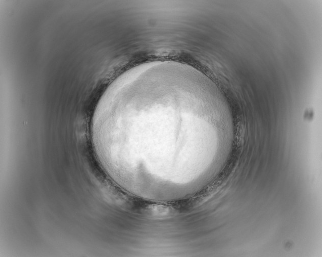 X0000093610272200711121219