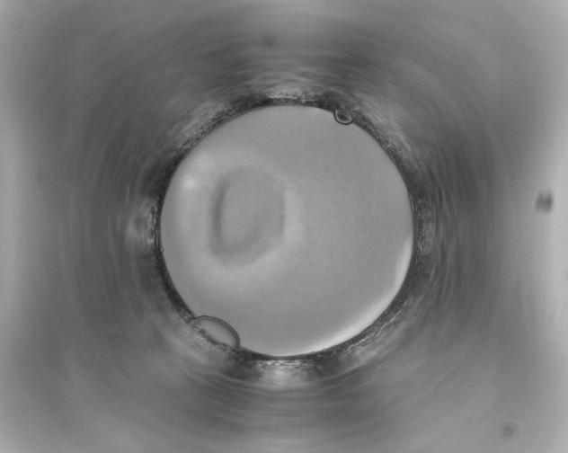X0000093610273200711121219