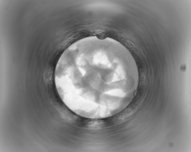 X0000093610274200711121219