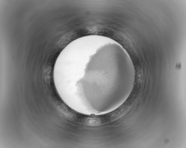 X0000093610275200711121219