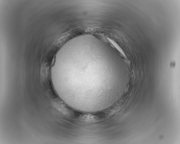 X0000093610276200711121219
