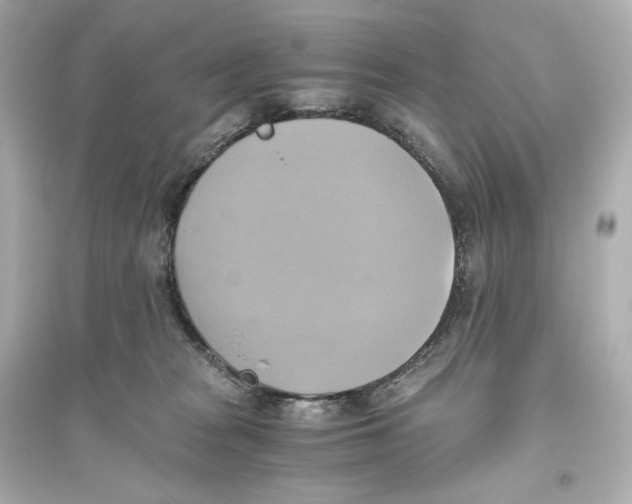 X0000093610277200711121219