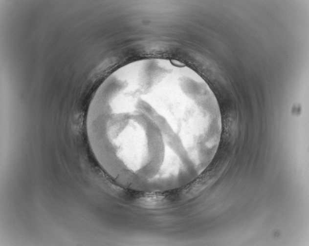 X0000093610278200711121219