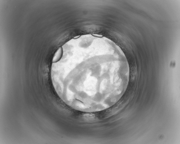 X0000093610279200711121219